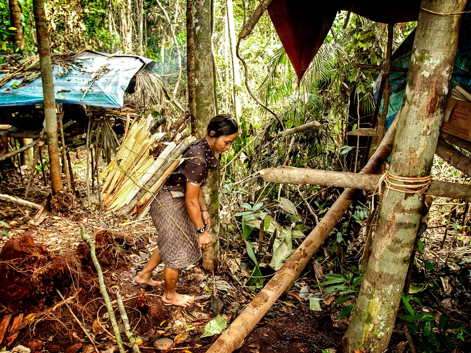 Det er blevet nærmest umuligt at leve som nomade på Borneo